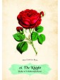 Oracle of The Roses : Blessings to support your heart and soul by Cheralyn Darcey
